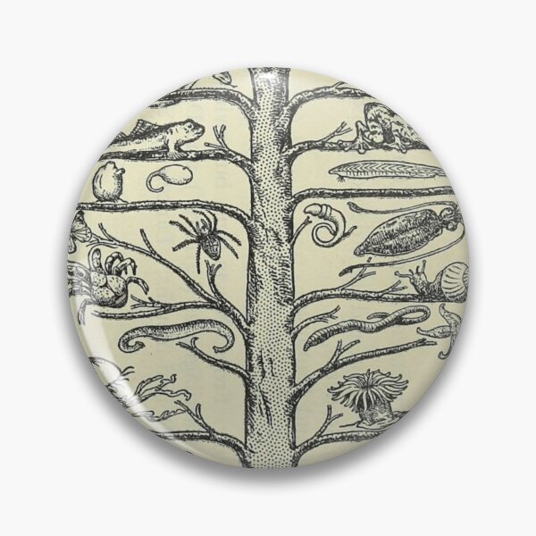 Item preview, Evolution Tree designed and sold by BlueSpecsStudio.