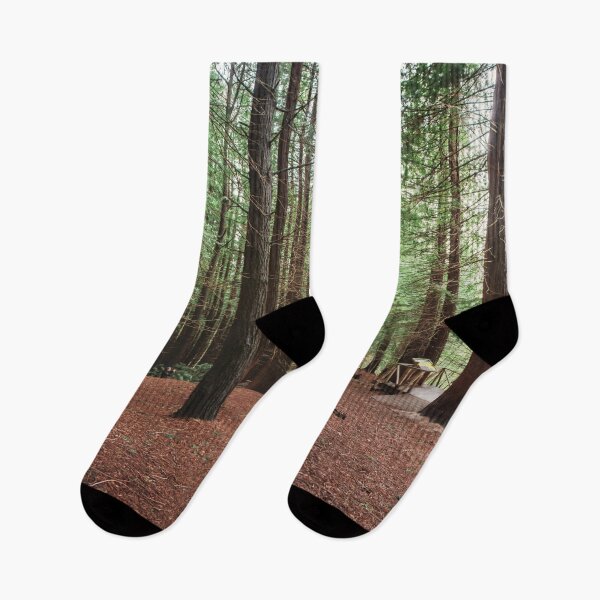 Item preview, Redwood forest designed and sold by MarioGuti.