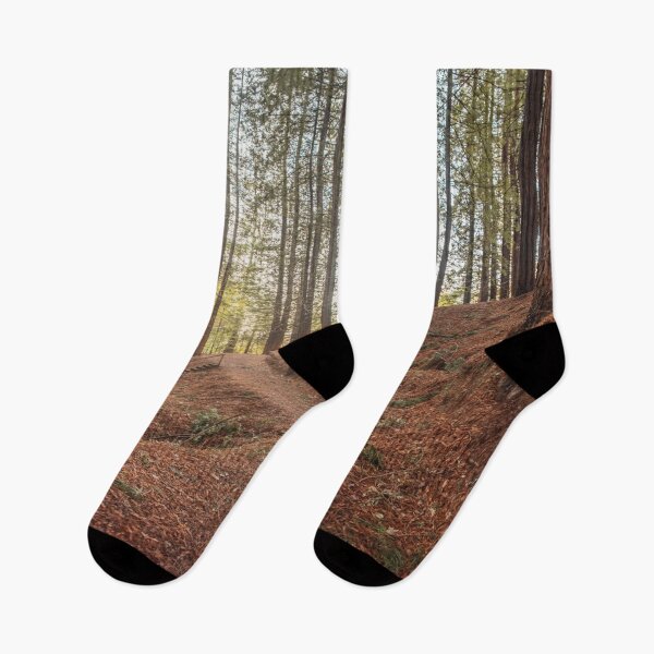 Item preview, Redwood forest designed and sold by MarioGuti.
