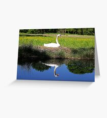 Brooding Greeting Card