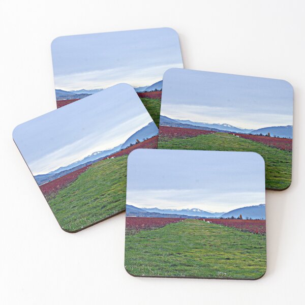 Artikelvorschau, Whidbey Island Feld entworfen und verkauft von VikingVisual.