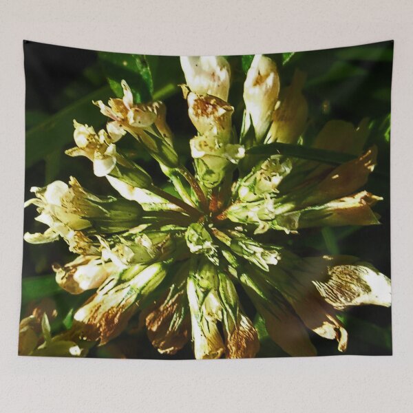 Item preview, Clover, Up Close And Personal v.2 designed and sold by Mark Polk.