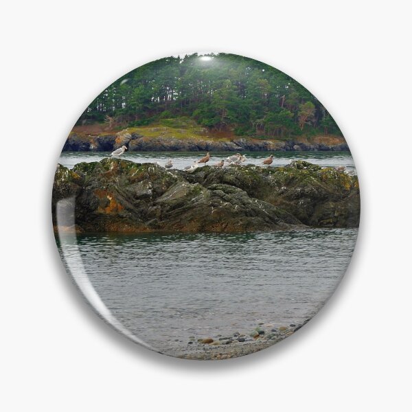 Item preview, Deception Pass Park Gulls designed and sold by VikingVisual.