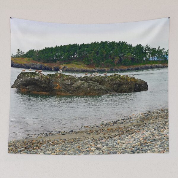 Item preview, Deception Pass Park Gulls designed and sold by VikingVisual.