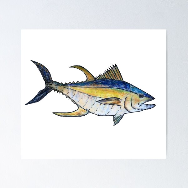 Yellowfin Tuna Fish Poster