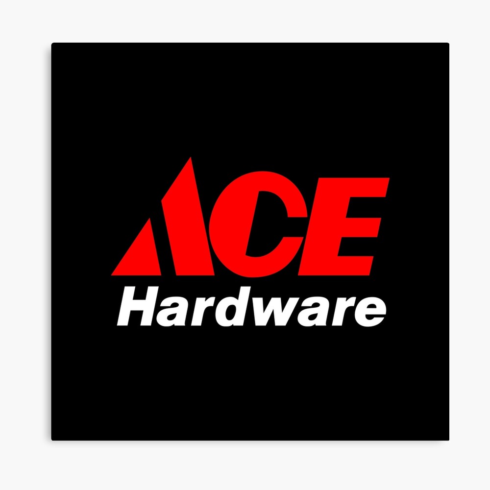 Ace Hardware Sets New Annual Fundraising Record for Lurie Childrens  Ann   Robert H Lurie Childrens Hospital of Chicago