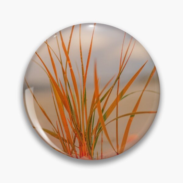 Item preview, Beachgrass and dunes designed and sold by KensLensDesigns.