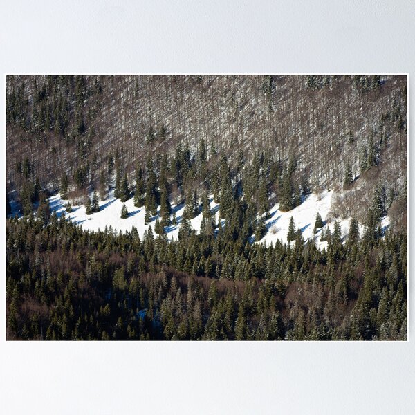 Item preview, The winter forest designed and sold by ivancoric.