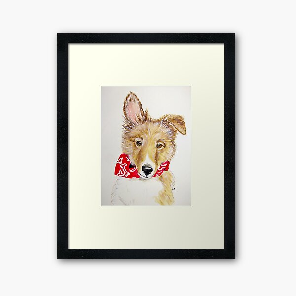 Tuck, Shetland Sheepdog Puppy Framed Art Print