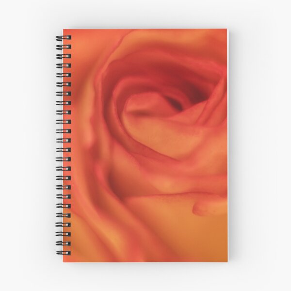 Item preview, Wrapped in Love a photograph of a yellow and orange rose designed and sold by MarniePatchett.