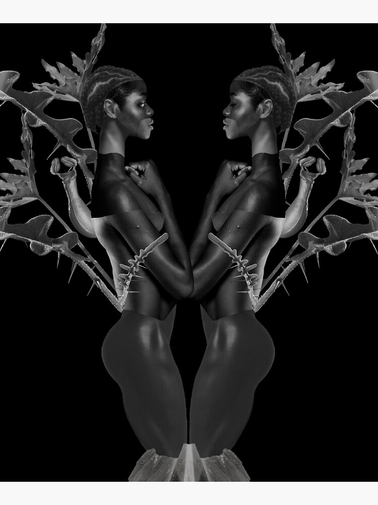 Rebirth of Self - butterfly, nature, metamorphosis by ilariaantolini