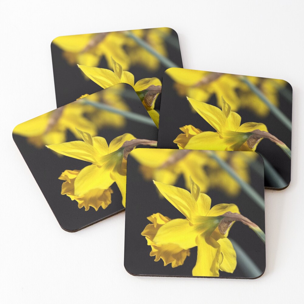 Item preview, Coasters (Set of 4) designed and sold by bubbleblue.