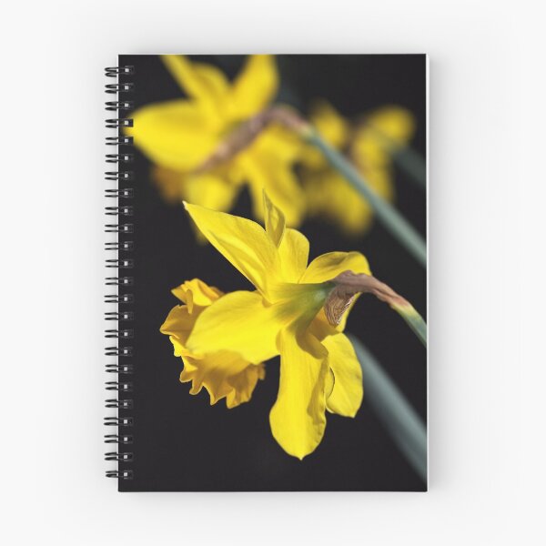 Item preview, Spring Daffodils designed and sold by Joy Watson - Natural Light Photography .