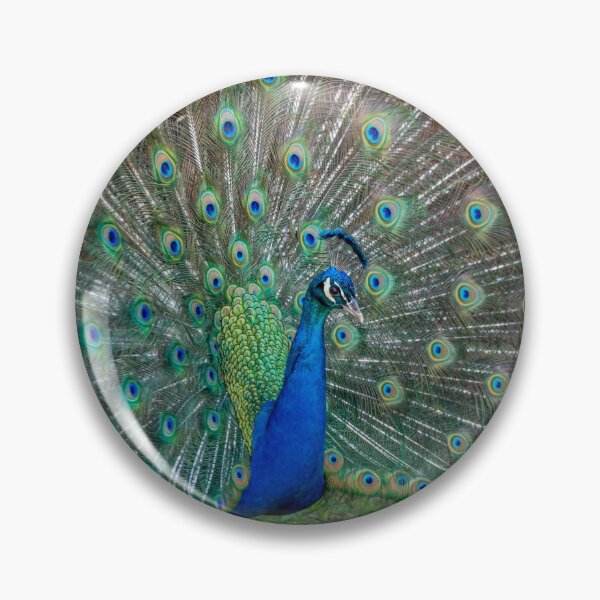 Item preview, Peacock with wings spread designed and sold by Rabbitti.
