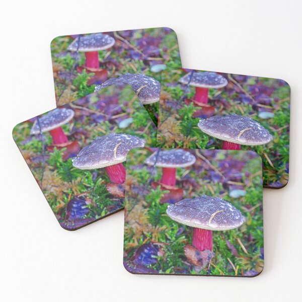 Item preview, Moulton Zeller's Bolete designed and sold by VikingVisual.