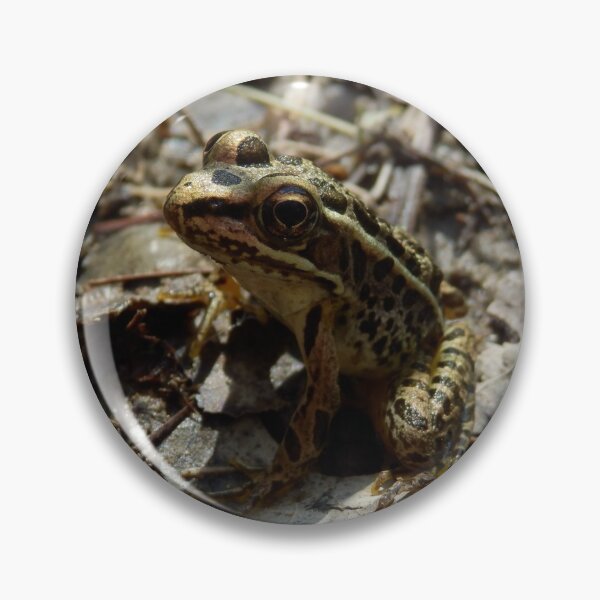 Item preview, Pickerel Frog designed and sold by catrantula.