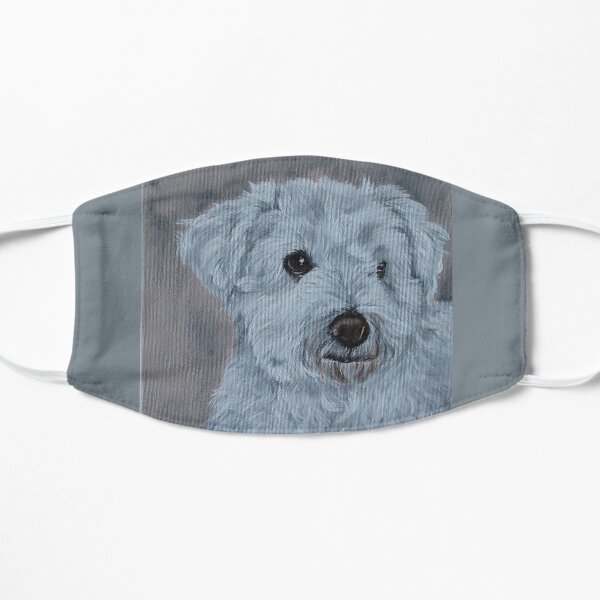 bichon Masque sans plis