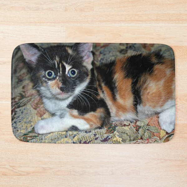 Item preview, Startled Kitten designed and sold by VikingVisual.