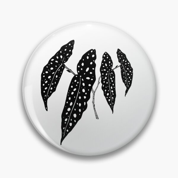 Item preview, Begonia maculata plant cutting designed and sold by Isardah.