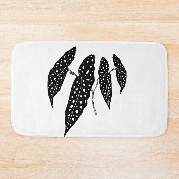 Item preview, Begonia maculata plant cutting designed and sold by Isardah.