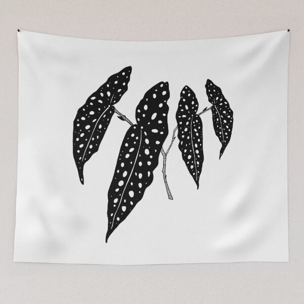 Item preview, Begonia maculata plant cutting designed and sold by Isardah.
