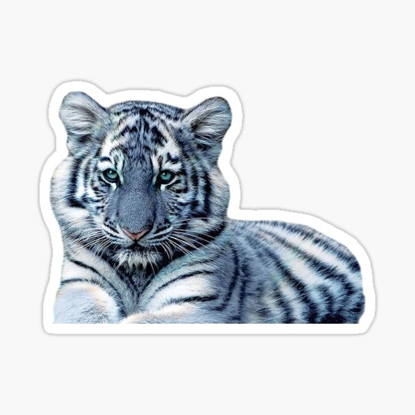 Item preview, Blue White Tiger designed and sold by Erika Kaisersot.