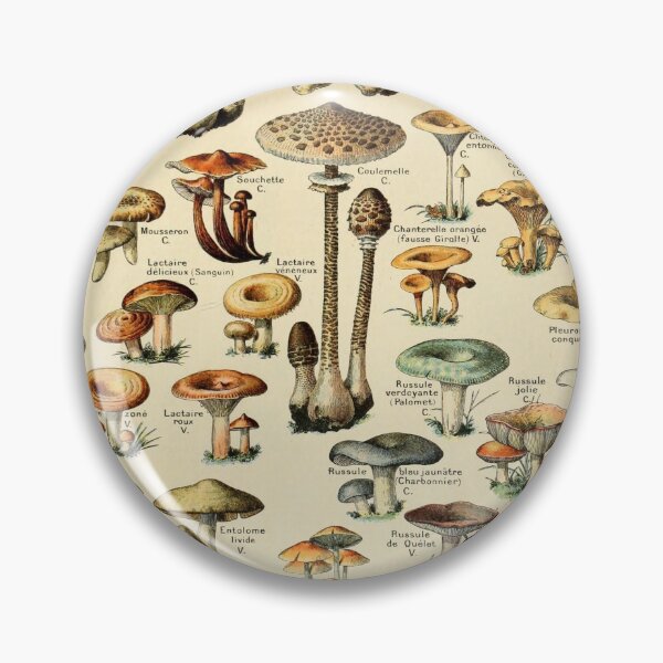 Magical Mushrooms Pin