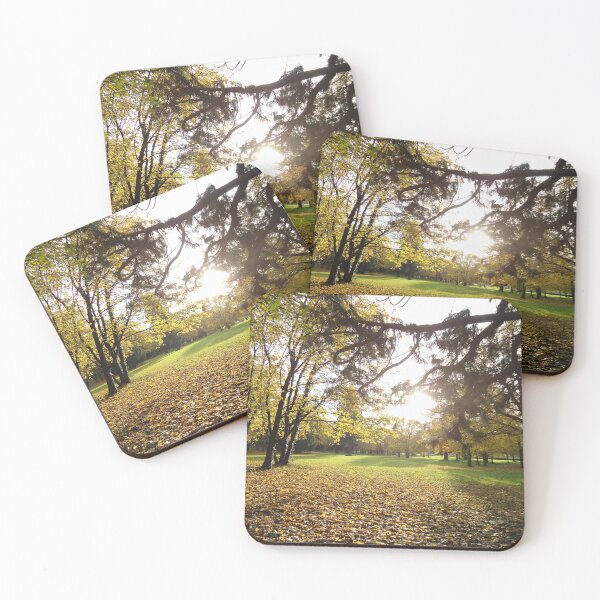 Item preview, park designed and sold by KNBS.