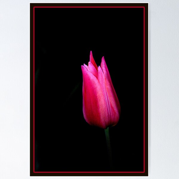 Item preview, A Thing of Beauty........... designed and sold by Larry Llewellyn.