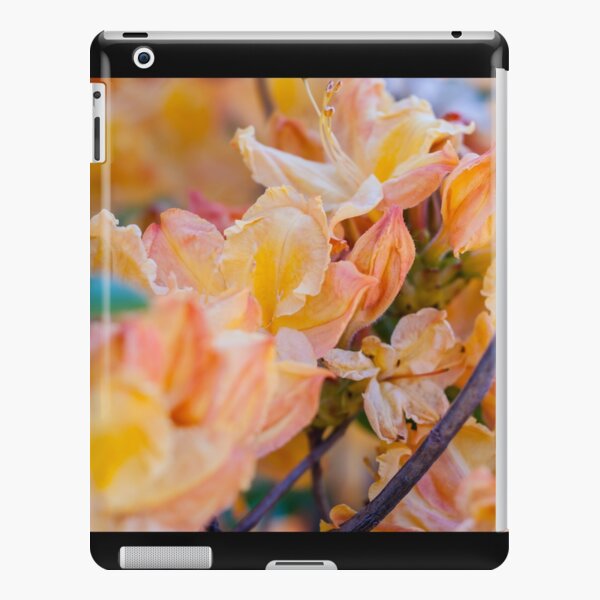 Peach Sunset iPad Snap Case