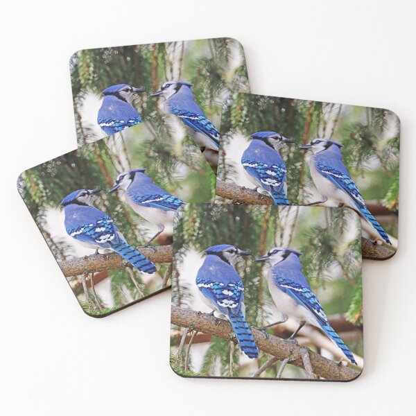 Item preview, Classy Times Two designed and sold by Deb Oppermann.