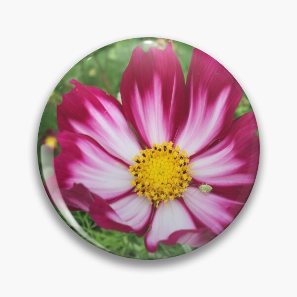 Item preview, Wildflower designed and sold by Debbie Rushton.