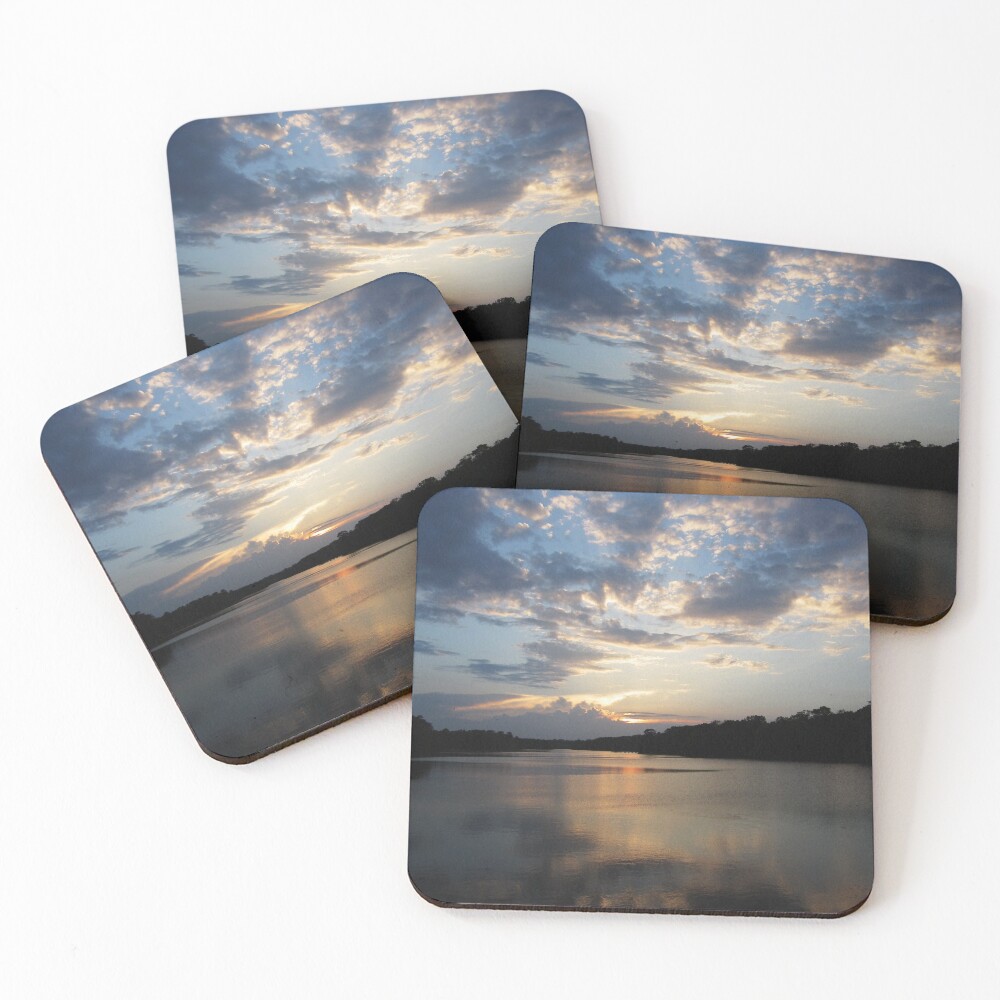 Item preview, Coasters (Set of 4) designed and sold by RVogler.