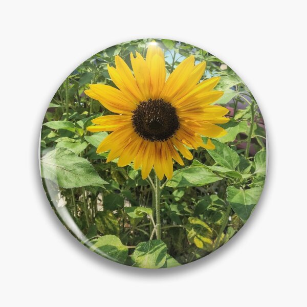 Item preview, Simple Sunflower designed and sold by Debbie Rushton.