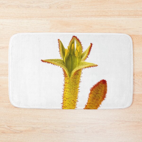 Item preview, Kangaroo Paw - Anigozanthos designed and sold by DPalmer.