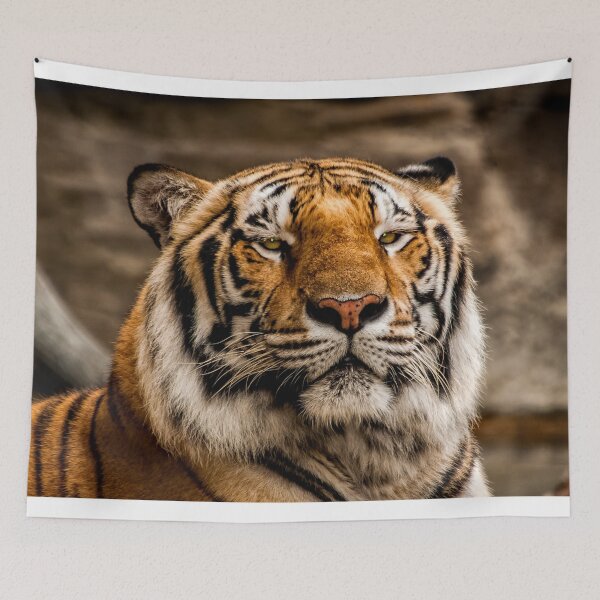 Item preview, Tiger Face Mask designed and sold by derekbeattie.