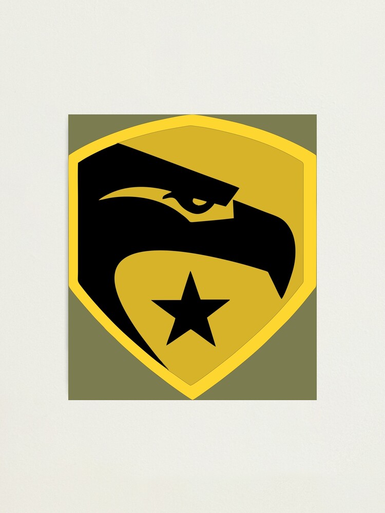 Gi store joe insignia