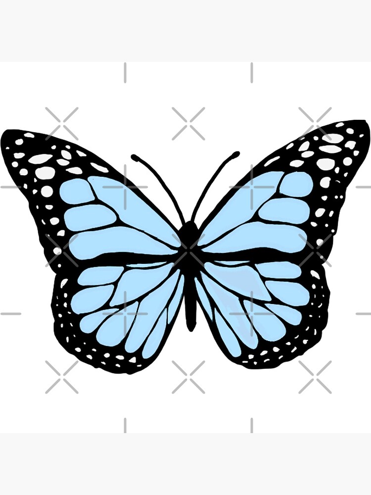 Single Blue Butterfly Design on a Black Background 