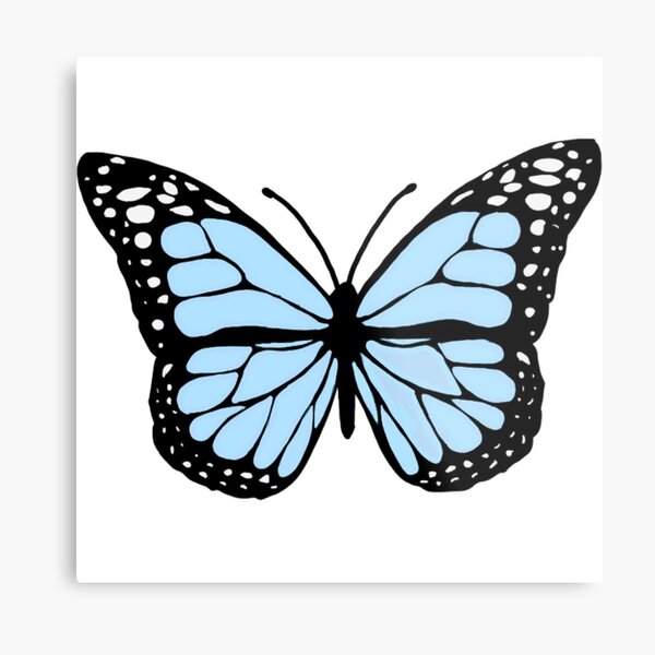 Details about   Butterfly In Blue Macro Large Framed Art Print Wall Poster 