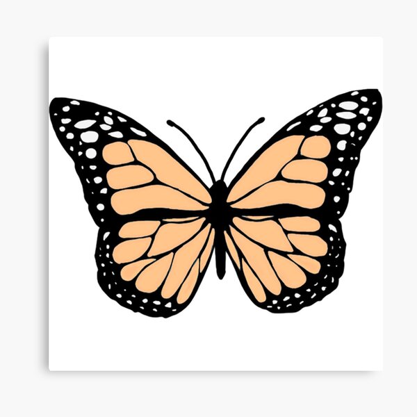 creamsicle orange butterfly Canvas Print