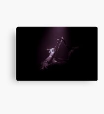 Mister Bojangles Canvas Print