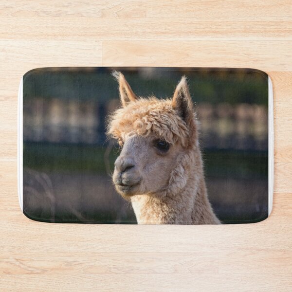 Item preview, Alpaca at the National Zoo designed and sold by Zoo and Nature Photography by Karie.
