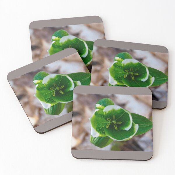Item preview, Green trillium designed and sold by Joshua  Satterlee.