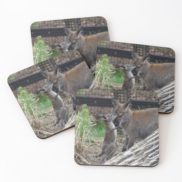 Item preview, Wallaby with joey at the National Zoo designed and sold by Zoo and Nature Photography by Karie.