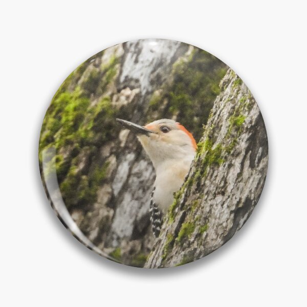 Item preview, Red Bellied Wood Pecker 2 designed and sold by Spiraleffects.