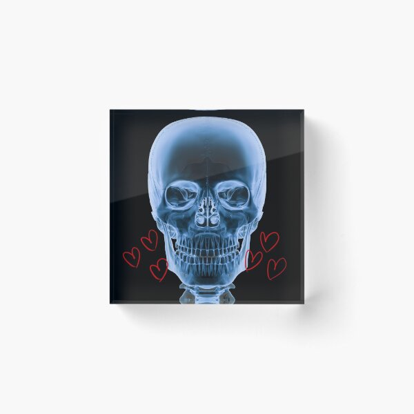 Medical imaging technologist Acrylic Block