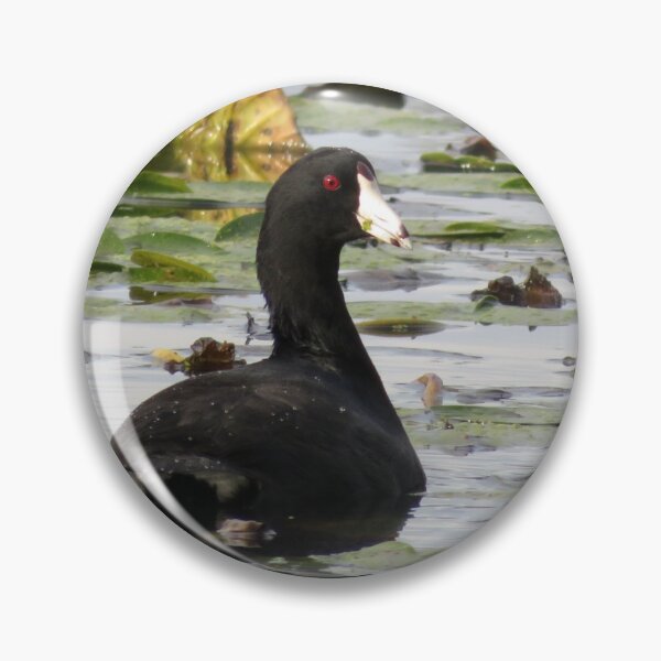 Item preview, Coot designed and sold by catrantula.