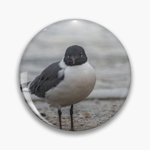 Item preview, Gull in the sea designed and sold by KensLensDesigns.
