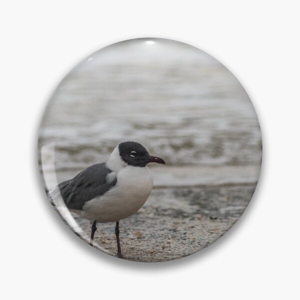 Item preview, Leucophaeus  at sea designed and sold by KensLensDesigns.