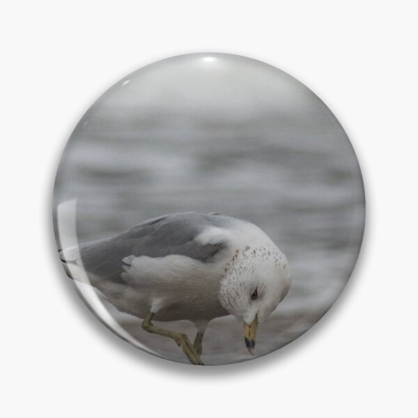 Item preview, Ballerina seagull designed and sold by KensLensDesigns.